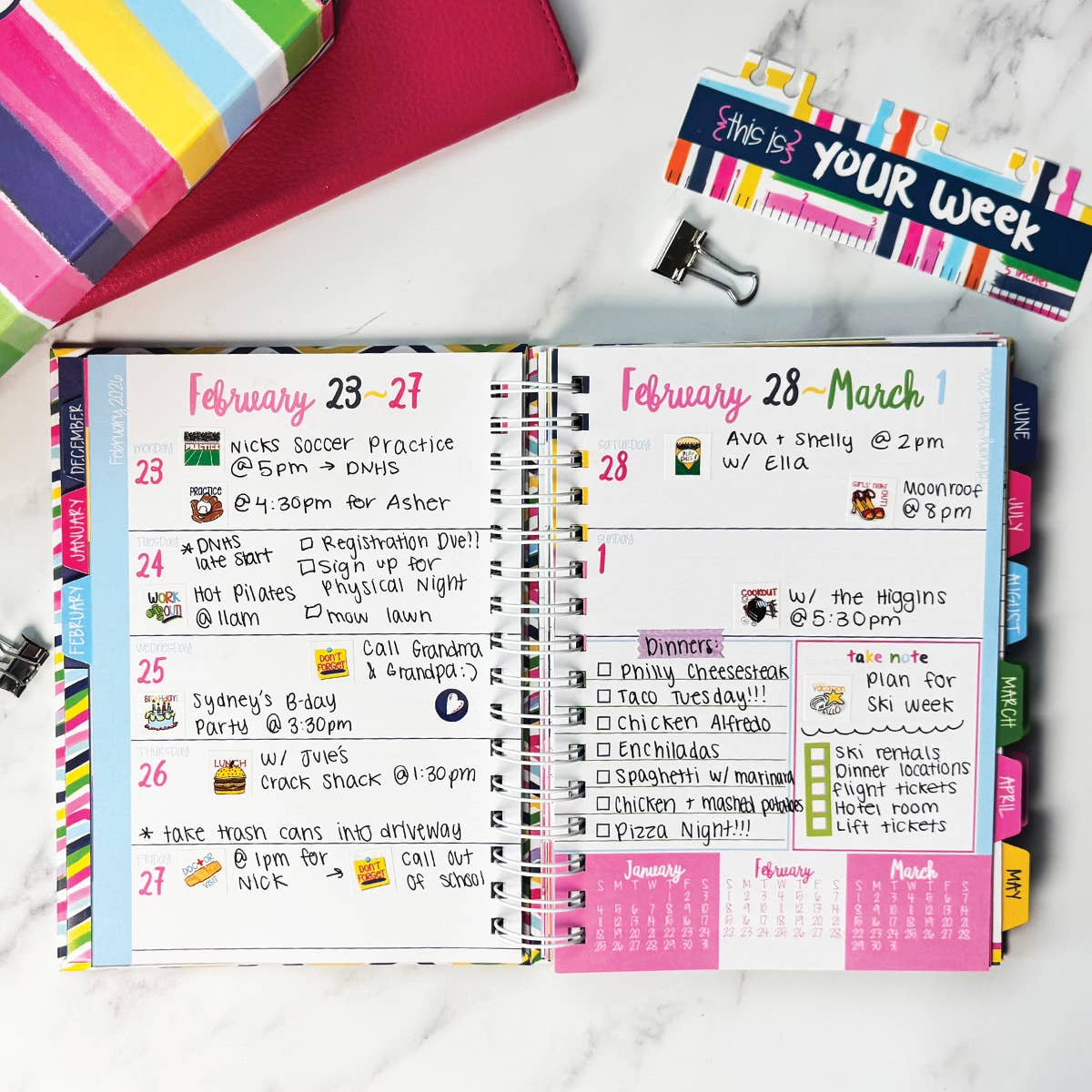 NEW! Reminder Binder® Planner [Jan 26-June 27] | Open Stock: Stylie Stripes