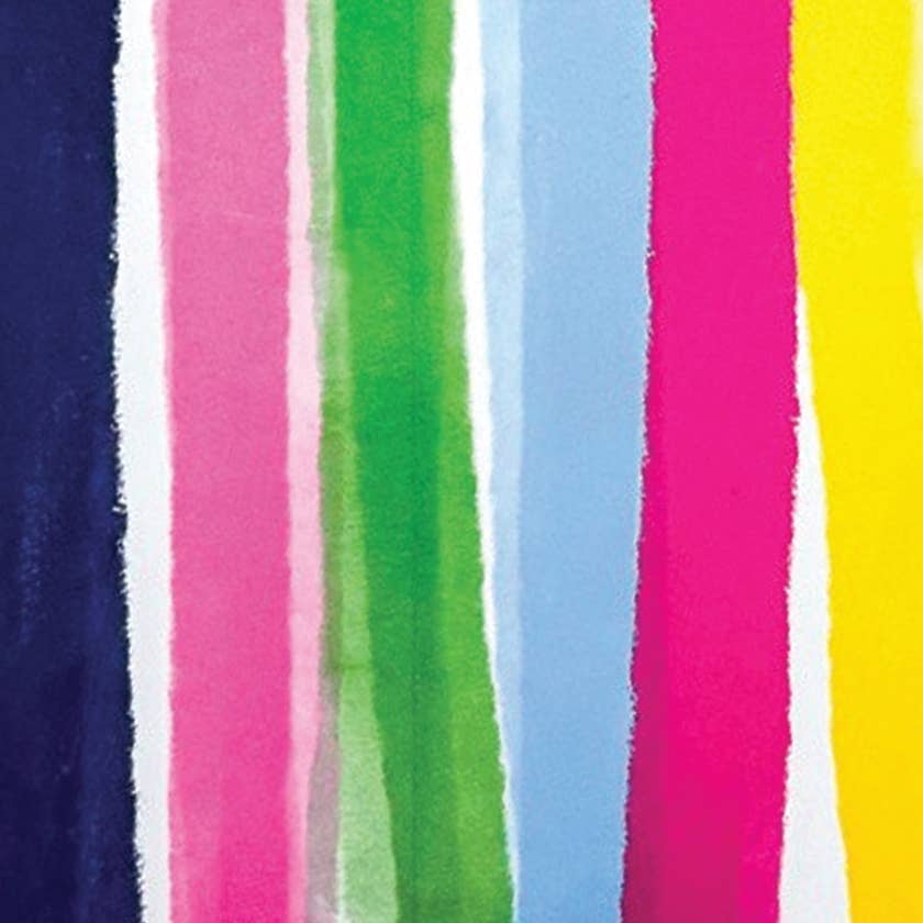 NEW! Reminder Binder® Planner [Jan 26-June 27] | Open Stock: Stylie Stripes