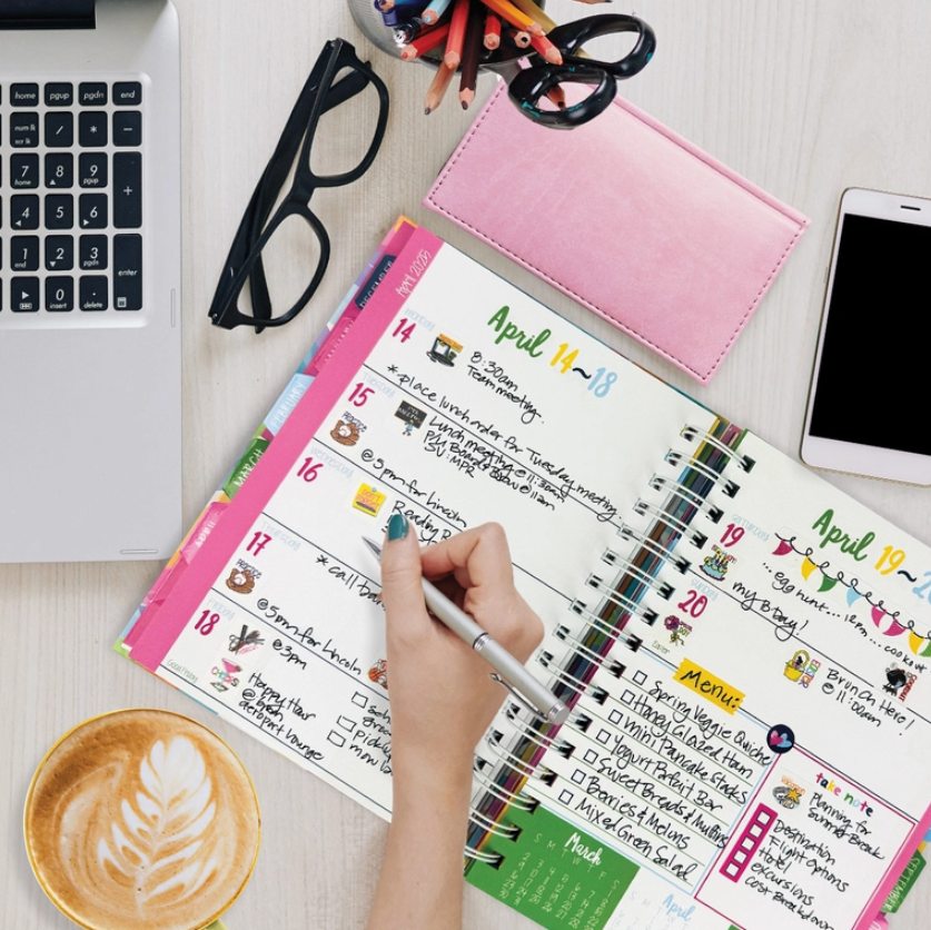 Reminder Binder® Planner [Jan 25-June 26]