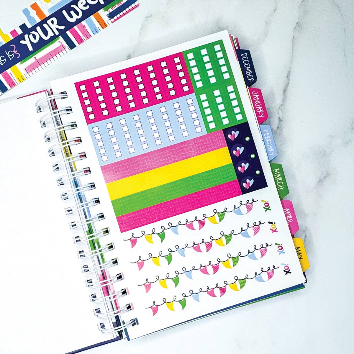 NEW! Reminder Binder® Planner [Jan 26-June 27] | Open Stock: Stylie Stripes
